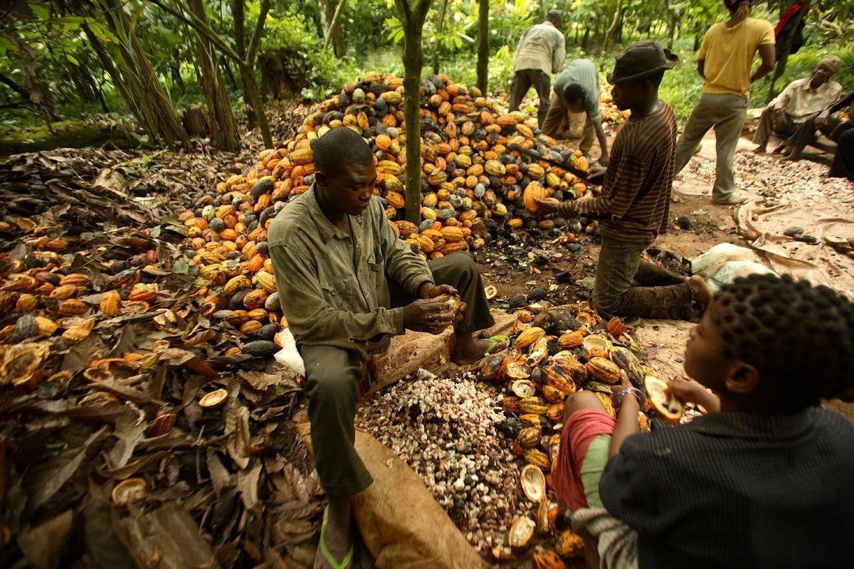 Adebola Farms