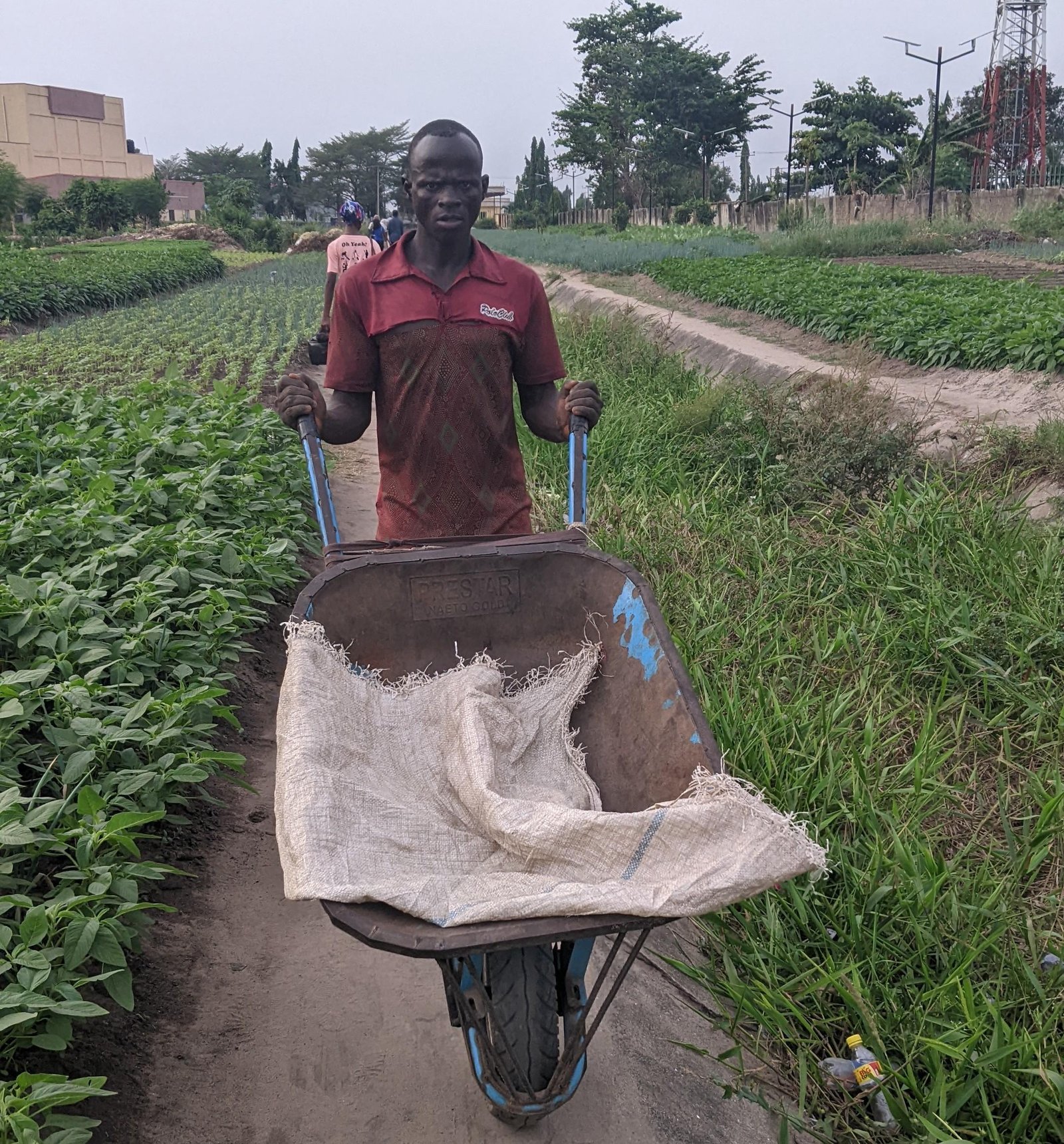 Lagos Agricultural