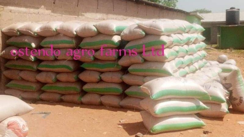 Ostendo Agro Farms Ltd