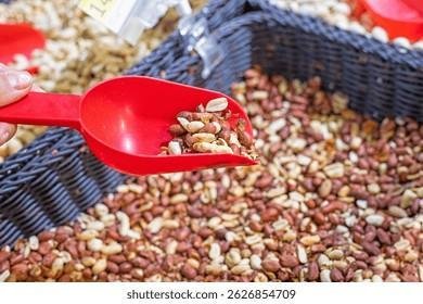 Raw Fresh Groundnuts – Bucket
