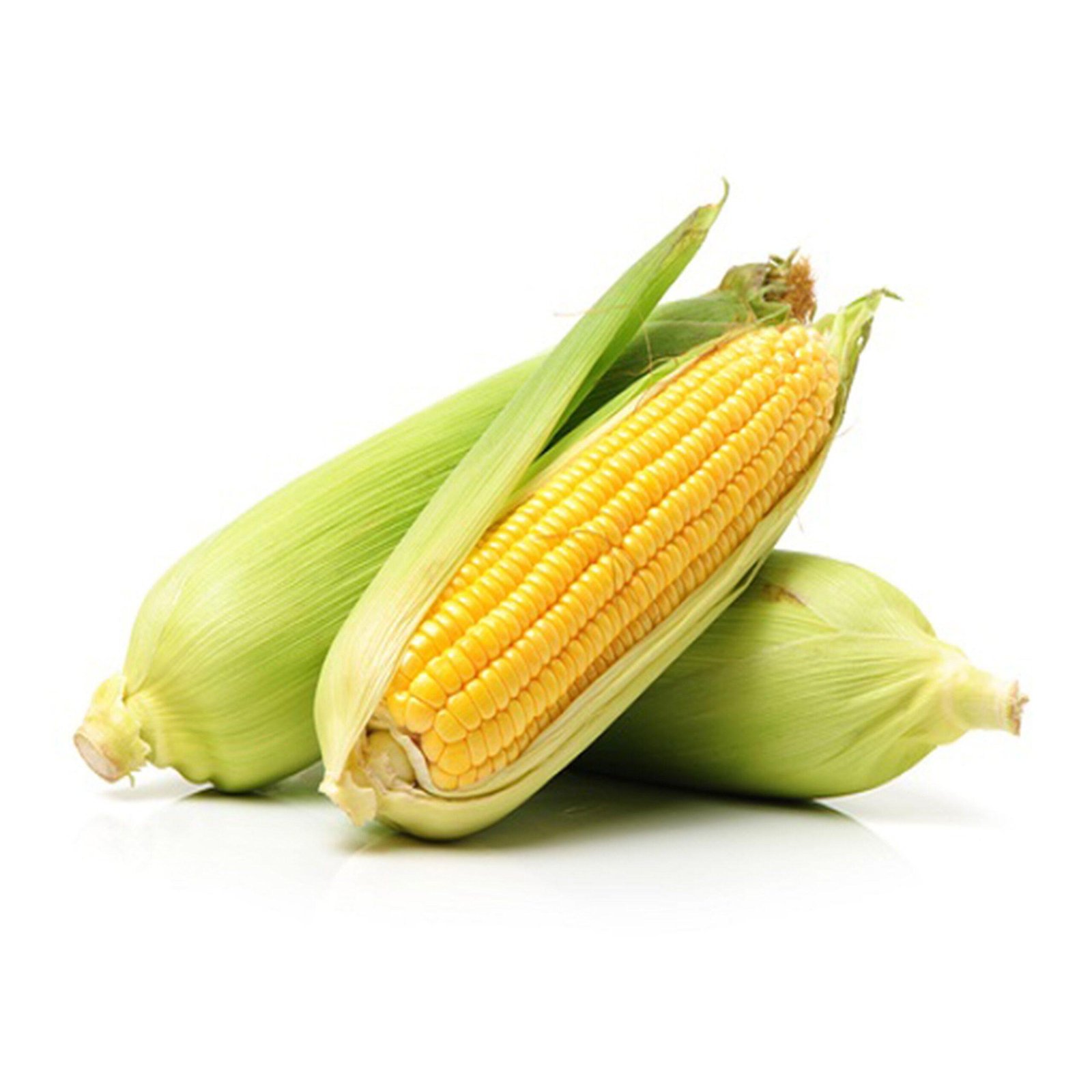 Fresh Sweetcorn per kg