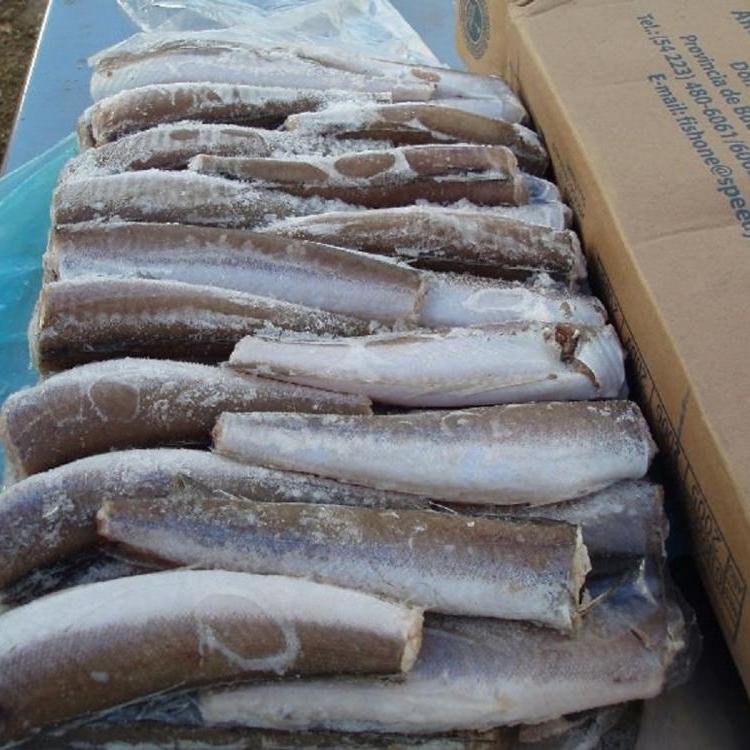 Frozen Hake fish