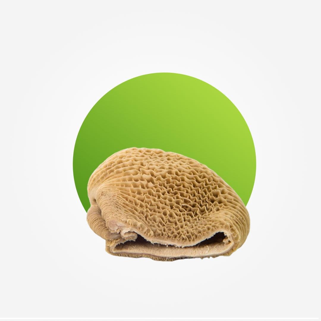 Shaki – per kg