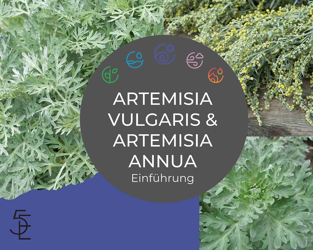 Fohow Artemisia Annua …  
                   ₦ ?10,000